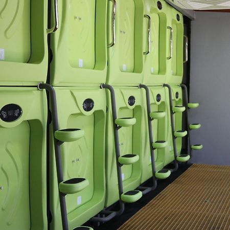 Pupa House - Capsule Hotel - Adults Only Tamarindo Buitenkant foto